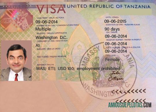 Visto de viagem para Tanzânia exemplo